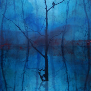 Flooded Forest - Mixed media encaustic 14" x 11"